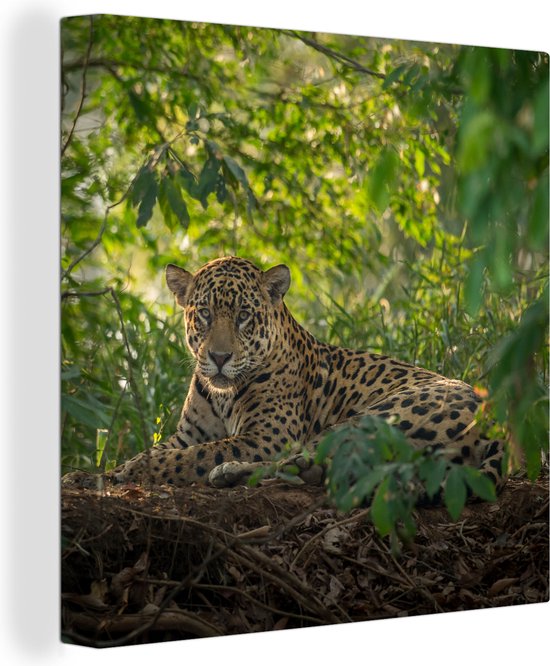 Canvas Schilderij Jaguar in de jungle - 20x20 cm - Wanddecoratie