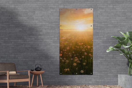 Affiche de clôture Coucher de soleil - Fleurs - Couleurs - 100x200 cm - Toile de jardin