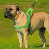 WOEFF Hondentuigje – hondenharnas neon groen – maat M – buikomvang 55-67cm
