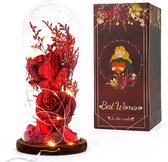 Ulif Beauty and the Beast Rose Cadeaus voor Vrouwen Verjaardag, Rose in Glazen Koepel voor Mam, Oma, Vrouwen, Moederdag, Valentijnsdag