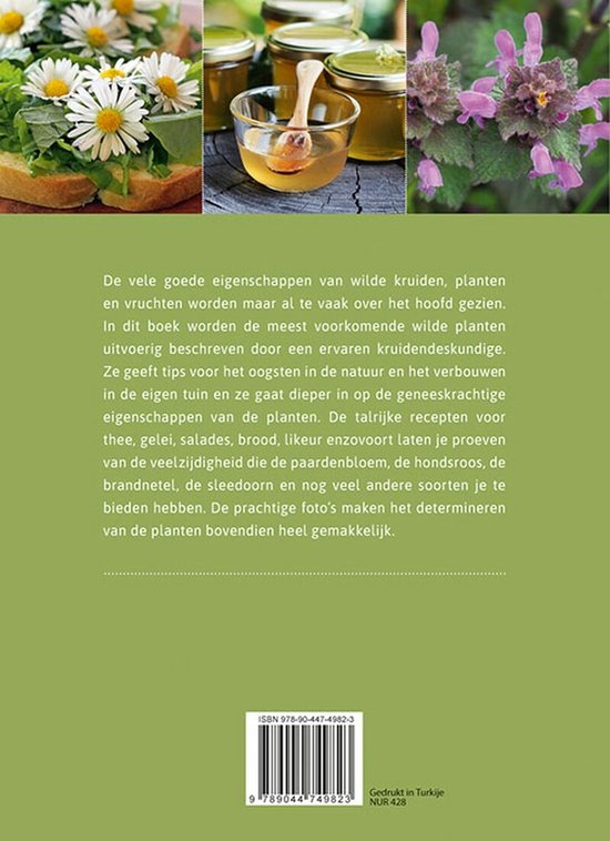 Praktische raadgever - Eetbare wilde kruiden en planten