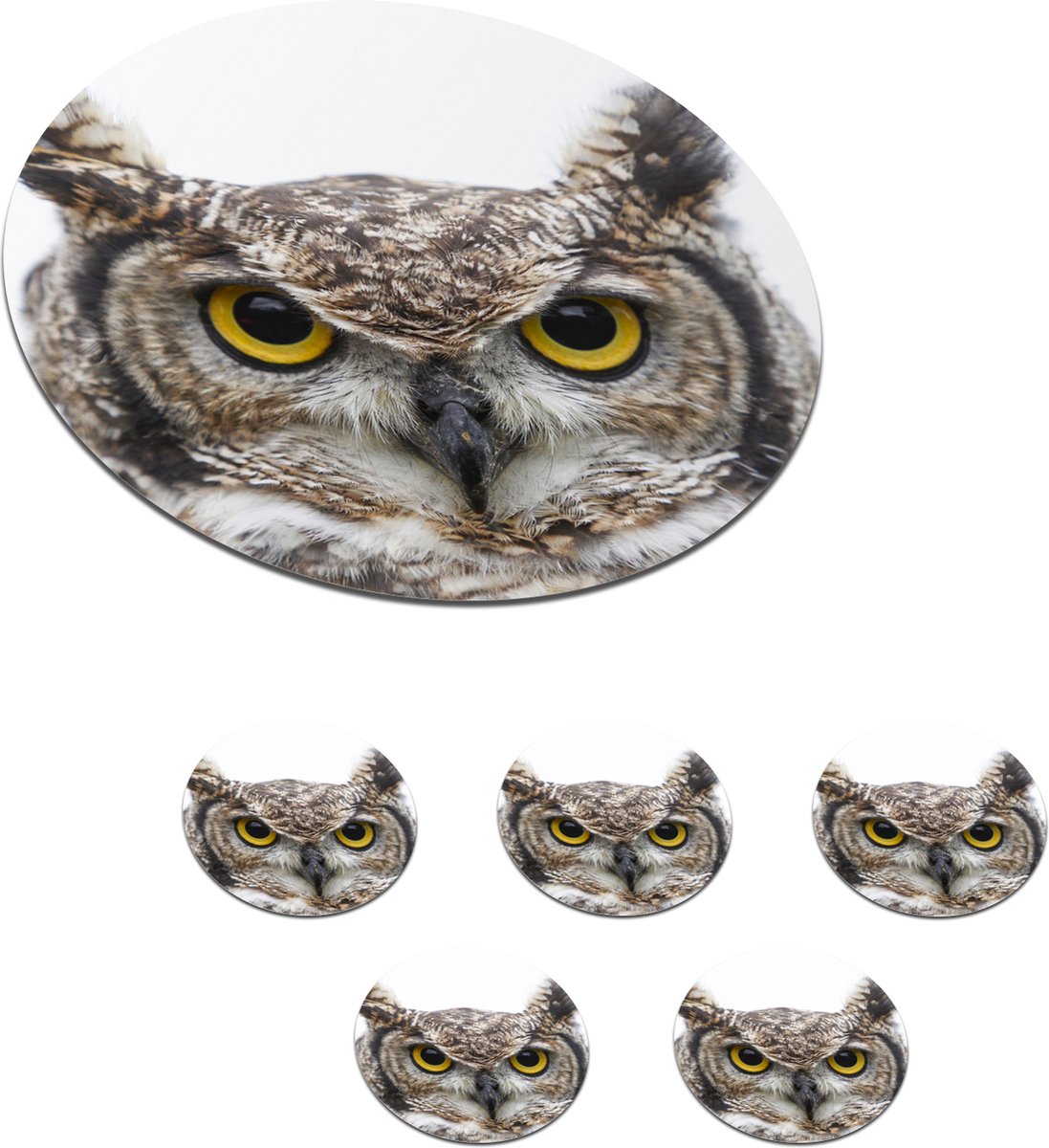 Onderzetters voor glazen - Rond - Bruine uil - Vogel - Wit - 10x10 cm - Glasonderzetters - 6 stuks