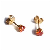 Aramat jewels ® - Oorbellen goudkleurig rond zirkonia zweerknopjes rood chirurgisch staal 4mm