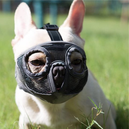 Muilkorf voor honden, Franse Bulldog, dellyy muilkorf voor bulldog