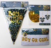 23-delige set Boy or Girl gender reveal zwart met goud - gender reveal - boy or girl - decoratie