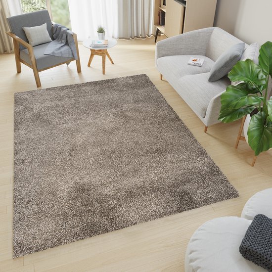 Un tapis gris à poils longs dans un salon lumineux avec un canapé, un fauteuil et une plante.