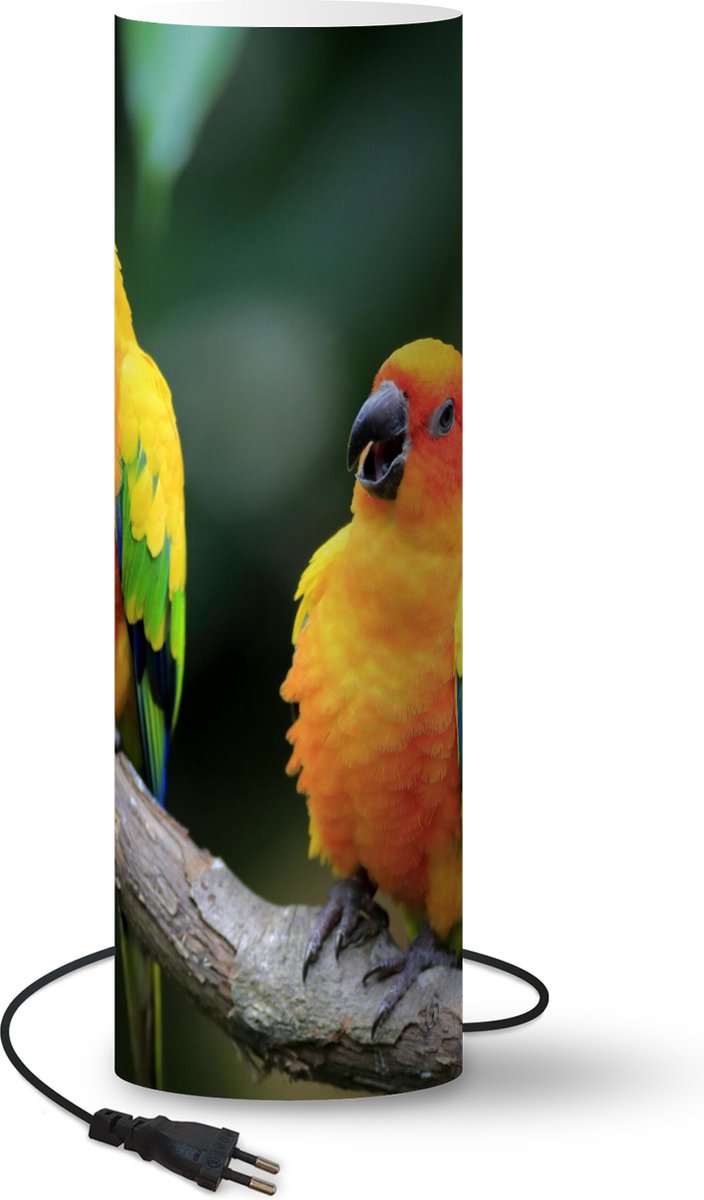 Lamp - Nachtlampje - Tafellamp slaapkamer - Twee Zonparkieten in de groene natuur - 60 cm hoog - Ø19.1 cm - Inclusief LED lamp