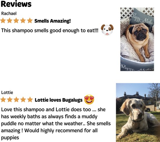 Bugalugs - Shampoo voor stinkende honden met geurneutralisator - Alle vachttypes - Fles met pompje - Vegan - 500 ml