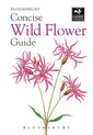 Concise Wild Flower Guide The Wildlife Trusts