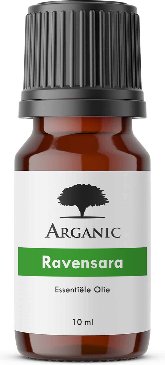 Goedkoopste Ravensara - Etherische Olie - 10ml