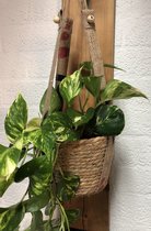 plantenhanger jute wiltuereentasjebij jute touw huis keuken tuin planten bloemen interieur plantenhanger handgemaakt duurzaam afbreekbaar recycle upcycle trendy interieur trendy inrichting bu