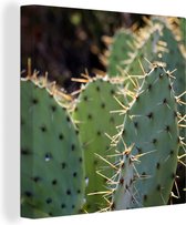 Tableau Tableau Cactus Botanique Impression Photo - 90x90 cm - Décoration murale