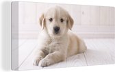 Canvas Schilderij Witte Golden Retriever puppy - 40x20 cm - Wanddecoratie