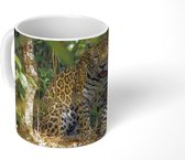 Mok - Verstopte jaguar in de jungle - 350 ML - Beker