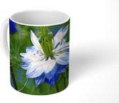 Mok - Nigella planten door elkaar heen - 350 ML - Beker