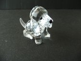 Swarovski - Beagle zittend