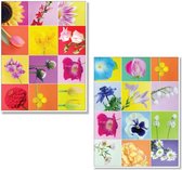 Dubbele wenskaarten veelkleurig met bloemen (Vibrant & Colourful 5+5 stuks) incl enveloppen