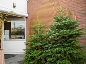 Echte kerstboom Nordmann spar 2.25 - 2.50 meter zonder kluit