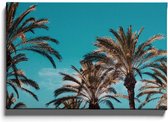 Walljar - Palmbomen Blauwe Lucht II - Muurdecoratie - Canvas schilderij
