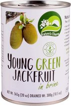 NATURE'S CHARM - Young Green Jackfruit in brine - 4 x 300g