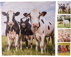 Schilderij outdoor schapen