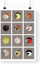 Poster Nederlandse tuinvogels - A3 formaat - vogel illustratie - modern grafisch design
