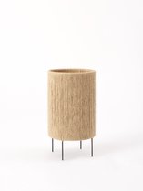 Ro Lamp