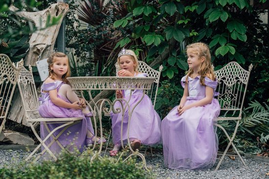 Prinsessenjurk meisje - Speelgoed 4 jaar - Prinsessen verkleedkleding - maat 104/110 - Zwaan - Het Betere Merk - Tiara - Kroon - Toverstaf - Paars