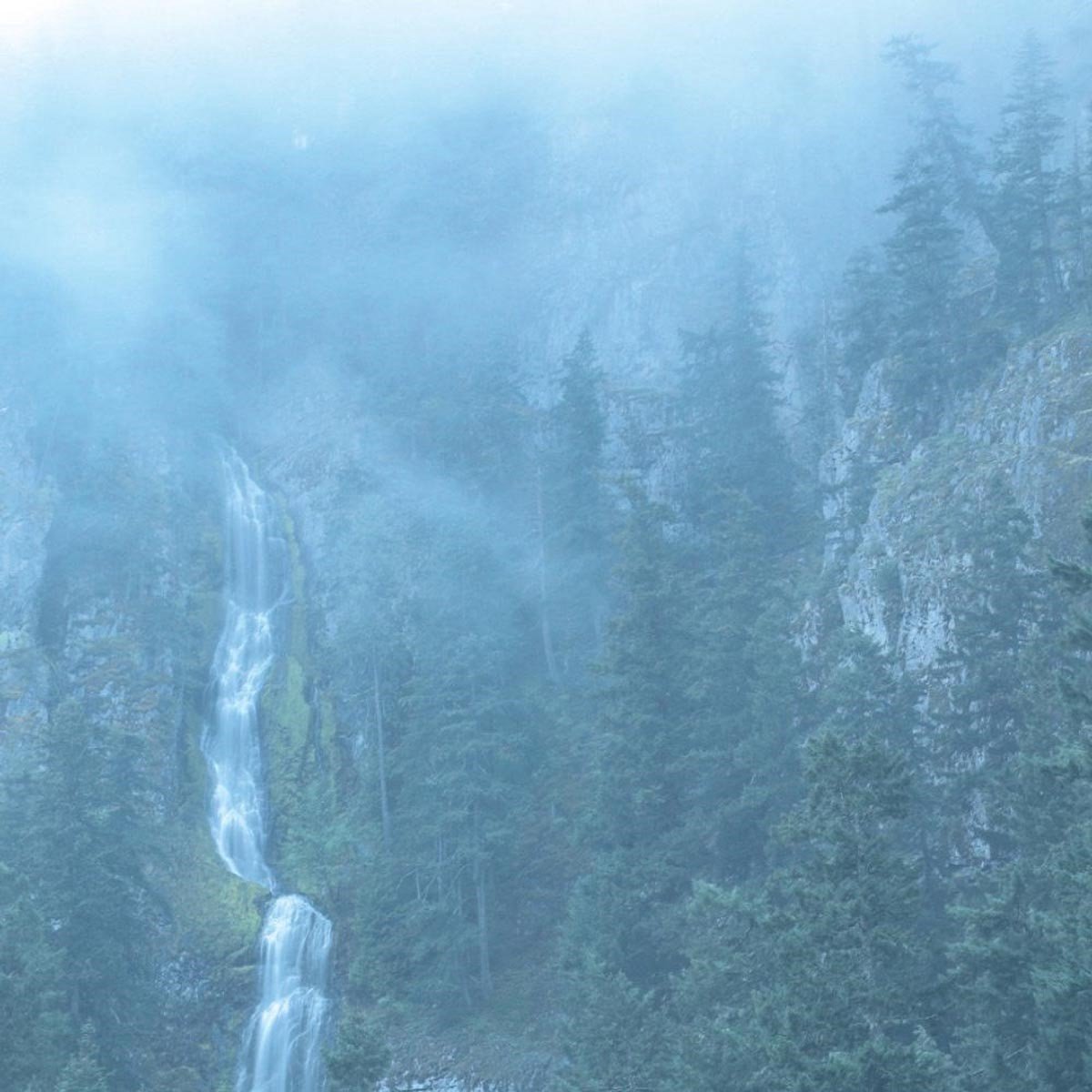 Wolves In The Throne Room - Diadem Of 12 Stars (2 LP)