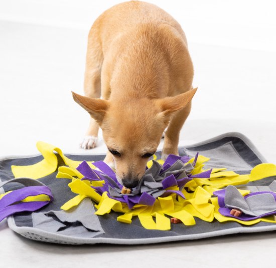 TrendPet Snuffeltapijt, snuffelmat voor honden, 48 x 48 cm, 10 cm dik en antislip (groen