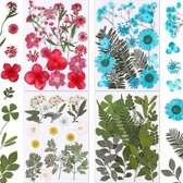Gedroogde bloemen set | 4 verschillende | resin/ resinart nail art en decoratie