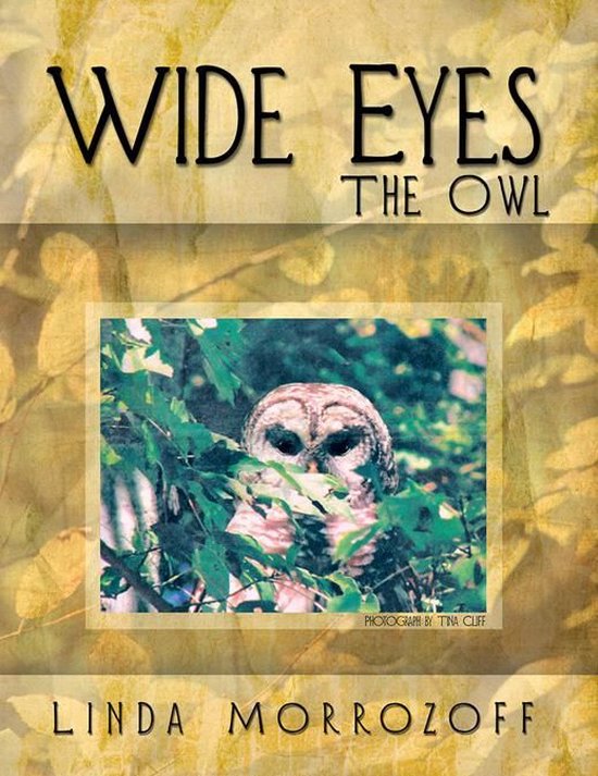 Wide Eyes the Owl