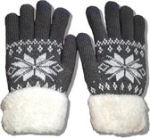 Winter handschoenen touchscreen donkergrijs - wit