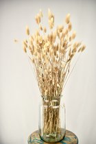 Boeket droogbloemen Phalaris naturel  - Dried flowers - 70cm  - Verse droogbloemen - GRATIS VERZENDING