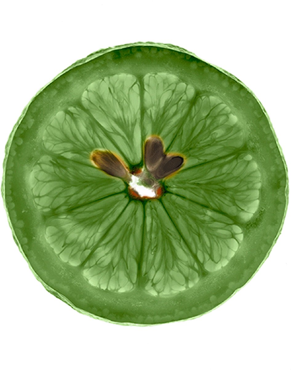 Garnier Fructis Krulpower Shampoo thumbnail 3