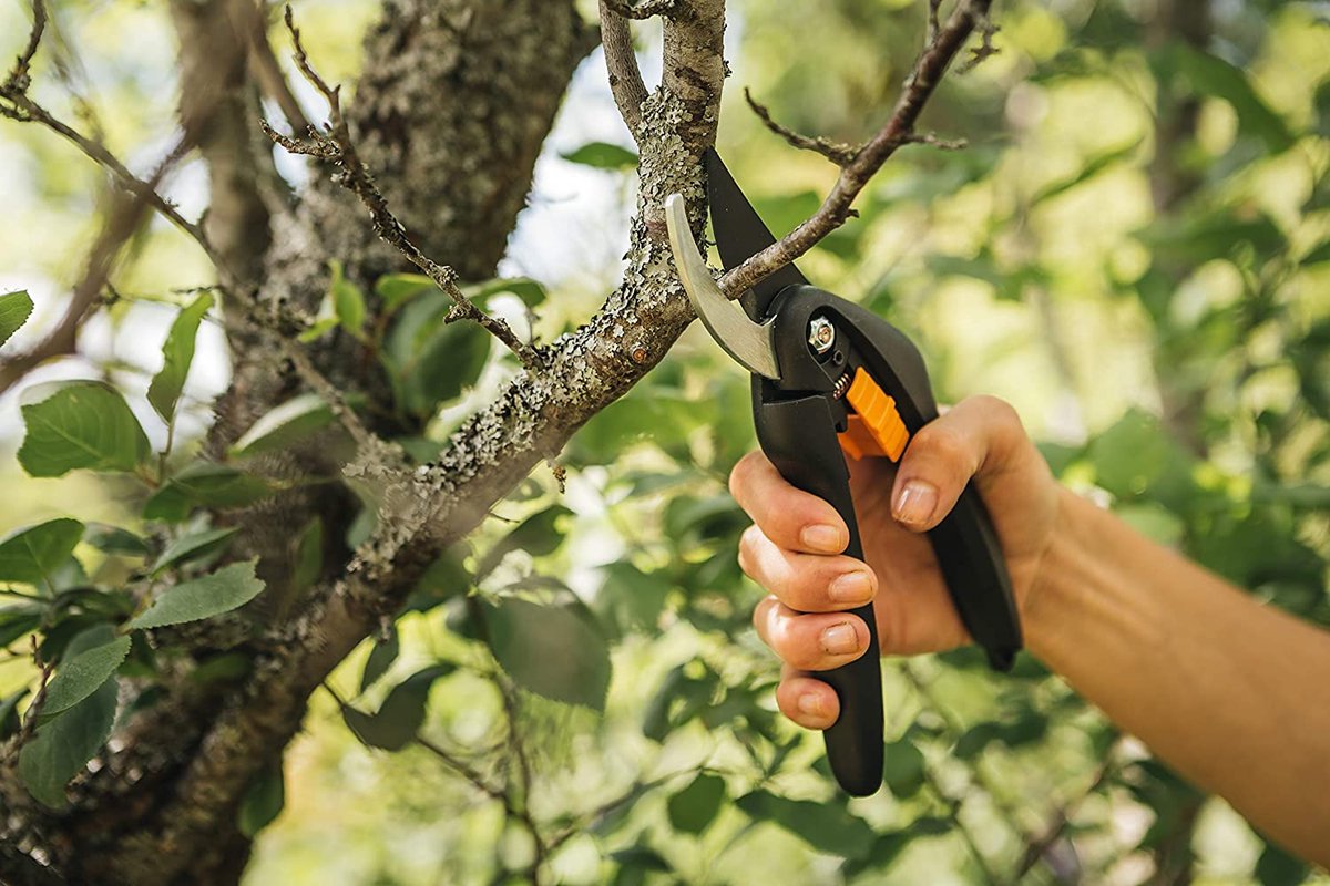 Fiskars Sécateur SingleStep - Sécateur