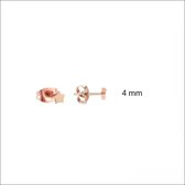 Aramat jewels ® - Zweerknopjes ster rosékleurig chirurgisch staal 4mm