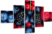 Schilderij - Bosbessen variatie, 5luik, Premium print