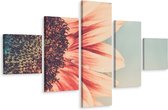 Schilderij - Bloeiende zonnebloem, 5luik, premium print