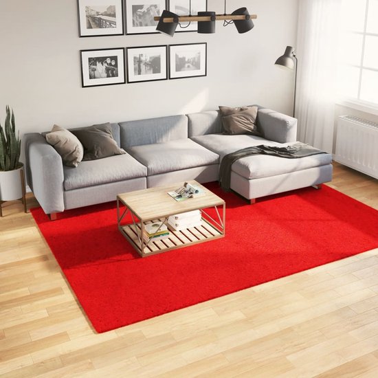 Tapis The Living Store HUARTE à poils ras doux lavable 200x280 cm rouge - Tapis - Tapis rouge - Tapis doux - Tapis moelleux - Tapis en polyester