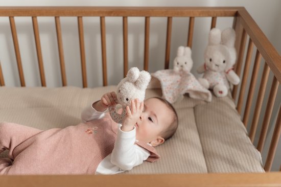 Nijntje x Little Dutch Lucky - Blossom - Geschenkdoos - Babycadeau Set