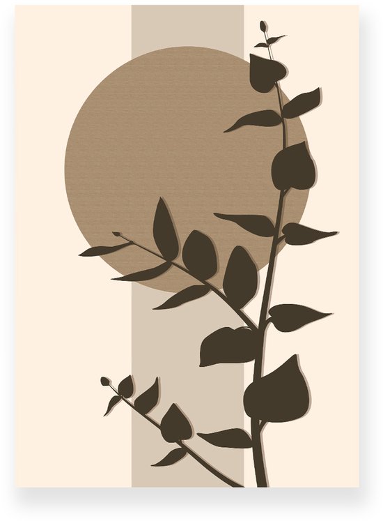 Eucalyptus, botanische lijntekening