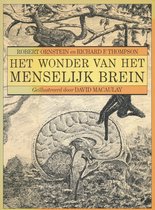 Het wonder van het menselijk brein