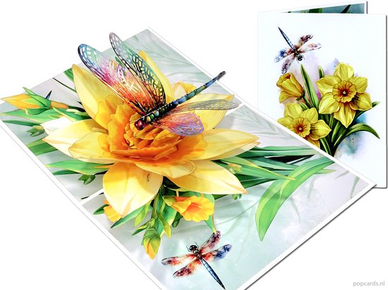 3D Pop-Up-Karte Libelle – Geburtstagskarte Mit Umschlag, 15,2 X 15,2 Cm