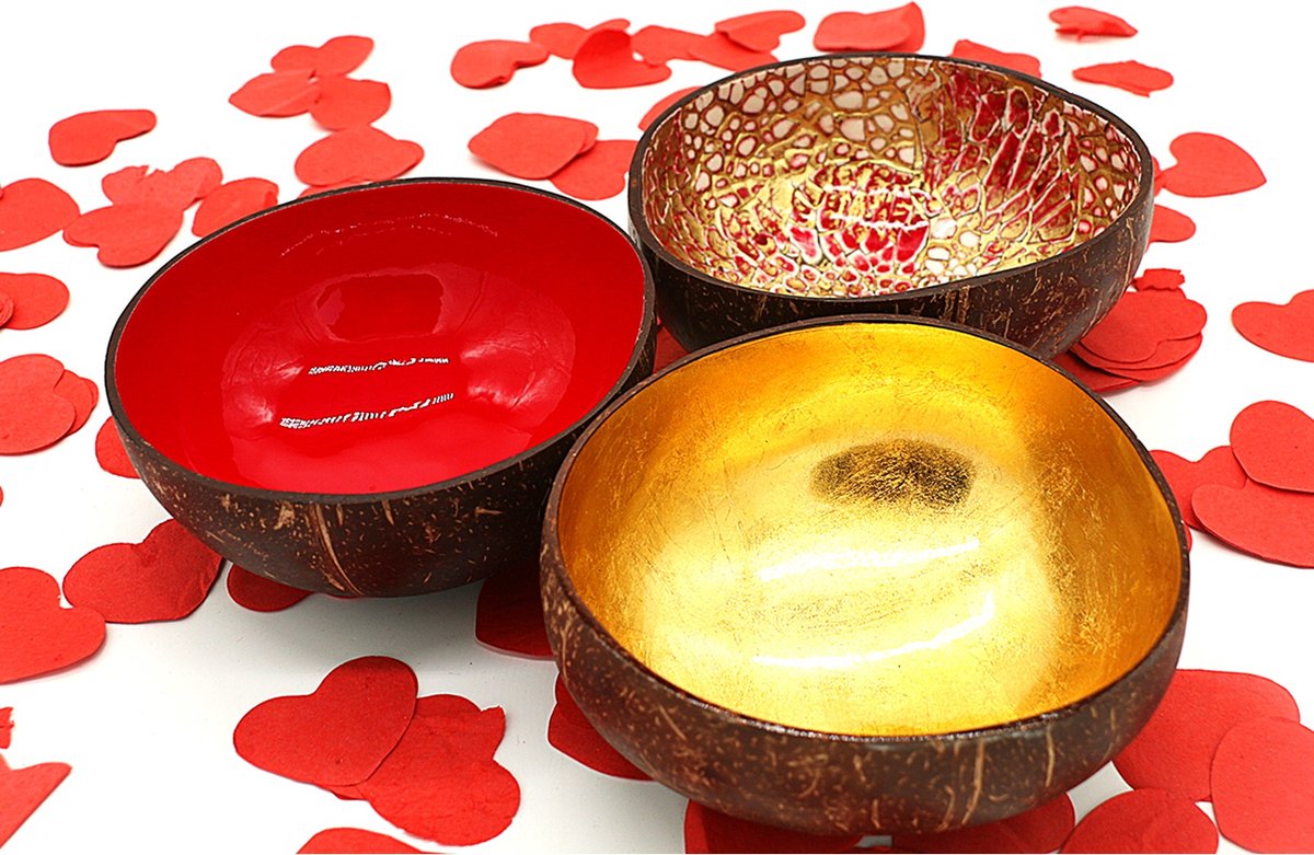 Set van 3 Kokosnootkommen – Cocohana Giftset – Inclusief Geschenkverpakking – Origineel Kerstcadeau voor Haar – Handgemaakte Bowls voor Ontbijt, Snacks en Decoratie – Perfect voor Feestdagen of Verjaardag