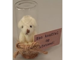 Een knuffel op afstand! Dit schattige beertje maakt deze boodschap nog specialer. Het mini knuffel beertje zit in een glazen stolpje circa 6 cm hoog op een kurk. Een speciaal geschenk wat het hele jaar door gegeven kan worden.
