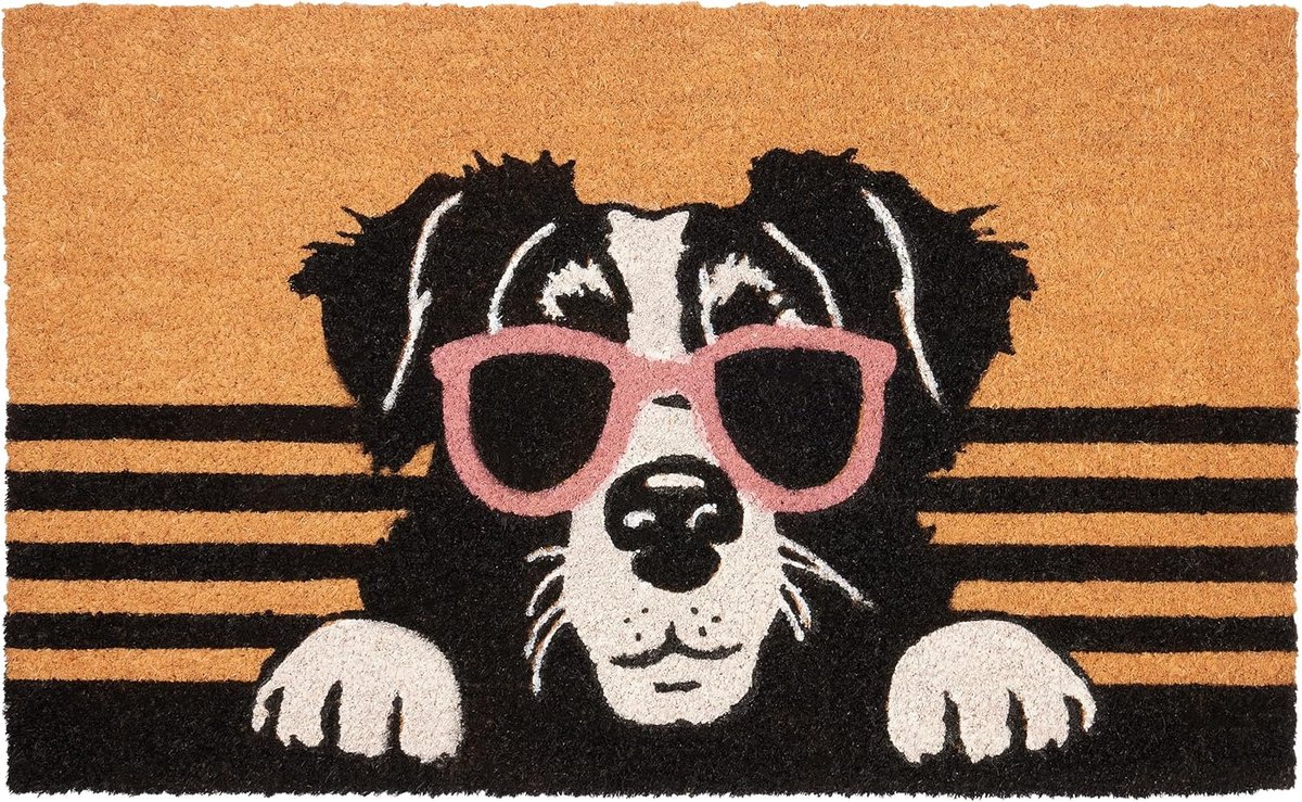 BRUBAKER Deurmat voor binnen en buiten, hond met zonnebril, 45 x 75 cm, vuilvangmat van 100% kokos, antislip voetveger, weerbestendig en antislip, deurmat voor hondenbezitters