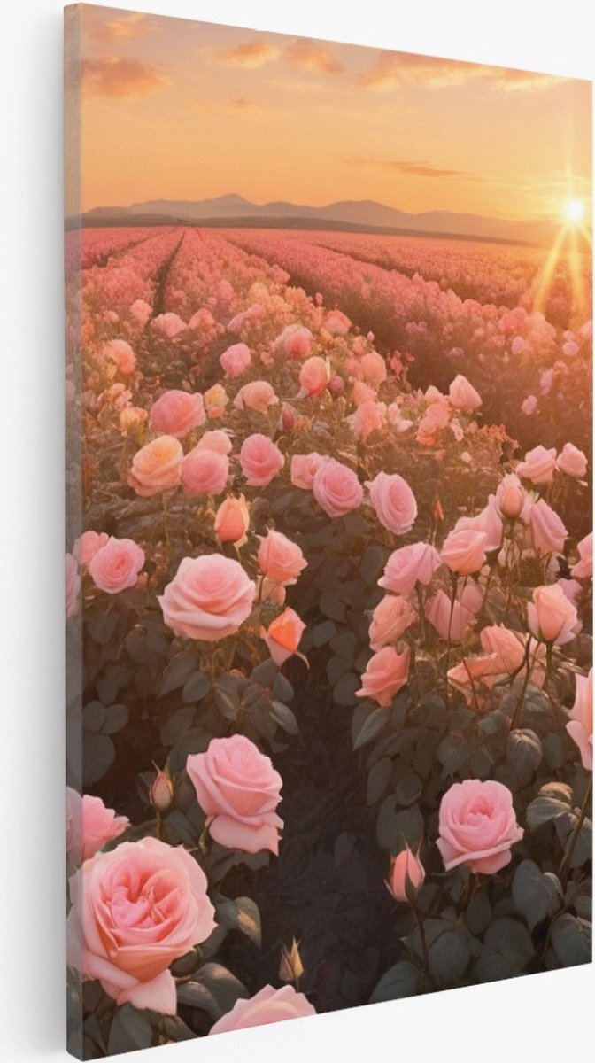 Saammp Canvas Schilderij - Landschap - Roze Bloemenveld - Kleurrijk - 50x70 - Foto op canvas - Wanddecoratie - Muurdecoratie Woonkamer - Slaapkamer decoratie - Canvas Print Multicolor