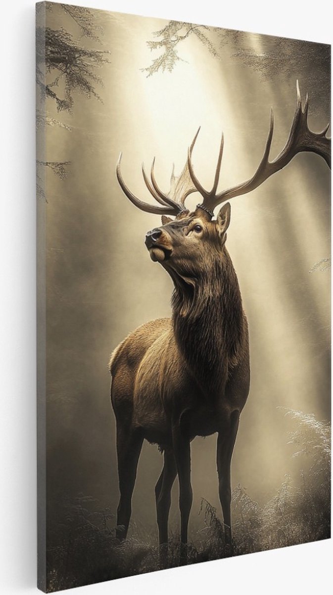 Saammp Canvas Schilderij - Natuur - Rivier door besneeuwd gebied - landschappen - 40x50 - Foto op canvas - Wanddecoratie - Muurdecoratie Woonkamer - Slaapkamer decoratie - Canvas Print Multicolor