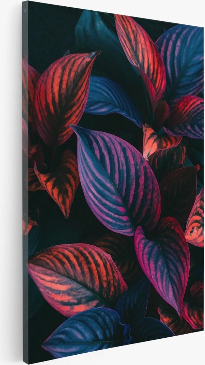 Saammp Canvas Schilderij - Bloemen - Gekleurde Bladeren - Natuur - 80x120 - Foto op canvas - Wanddecoratie - Muurdecoratie Woonkamer - Kantoor Decoratie Multicolor